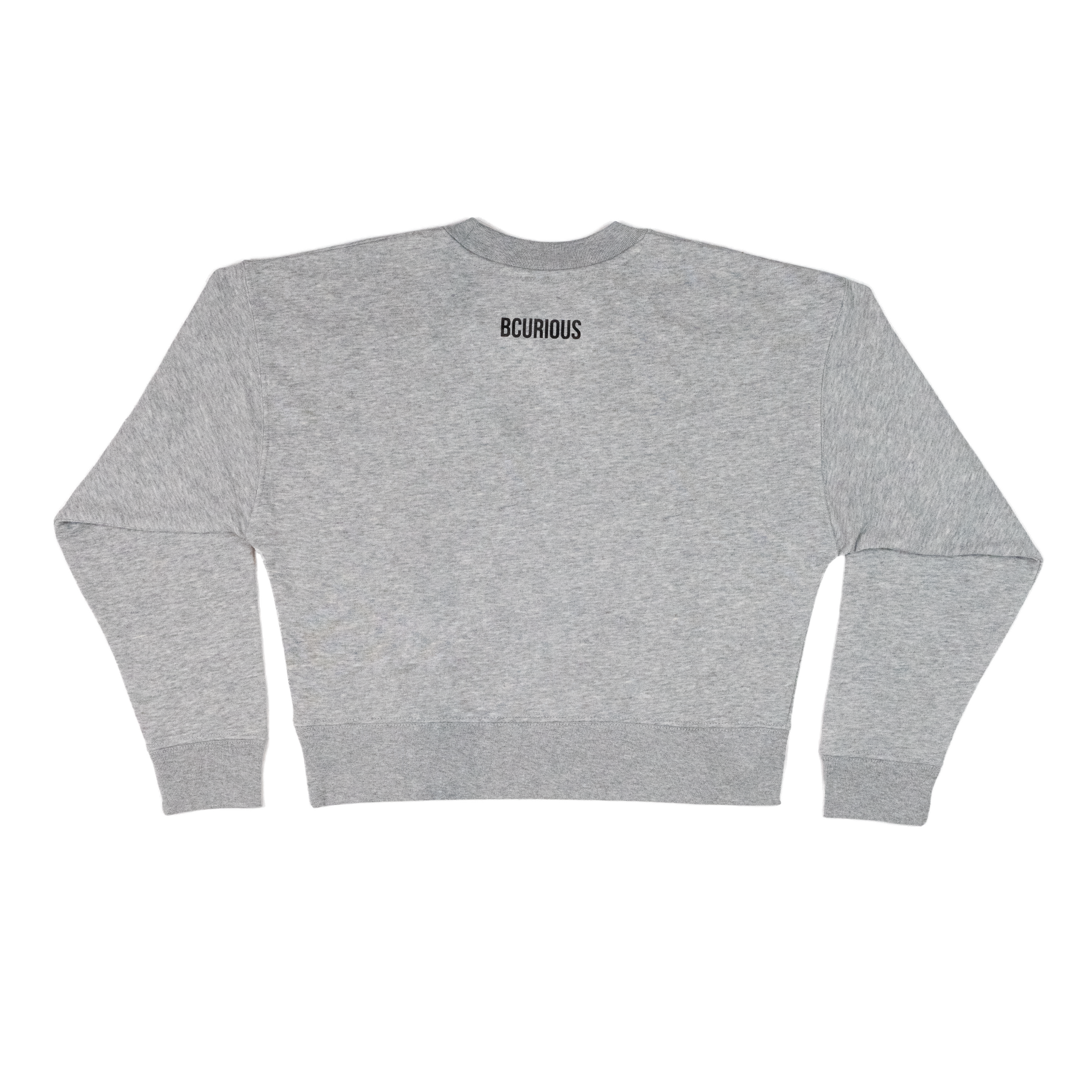 BCURIOUS SWEATSHIRT DESIGN B BLUE EMBROIDERY LIMITED EDITION - 2